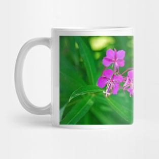 Lavender Fireweed Mug